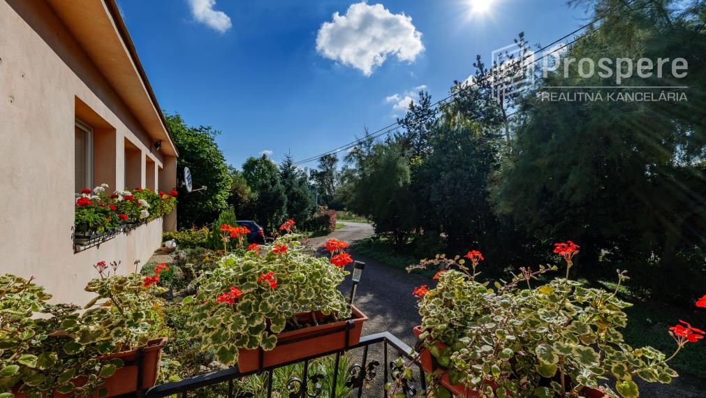 📍 Rodinný dom s veľkou dielňou, ČEČEJOVCE - SELEŠKA