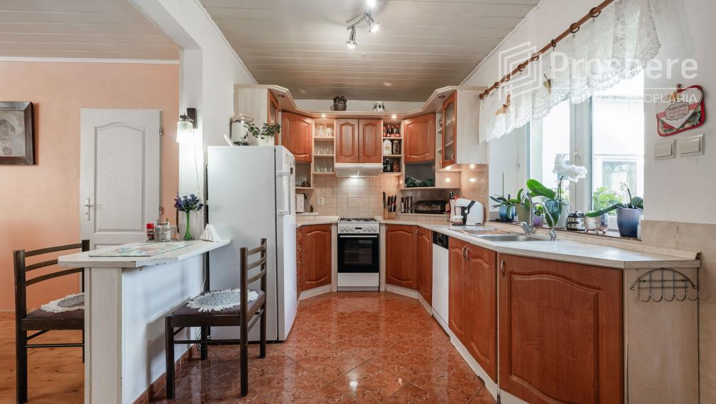 📍 Rodinný dom s veľkou dielňou, ČEČEJOVCE - SELEŠKA