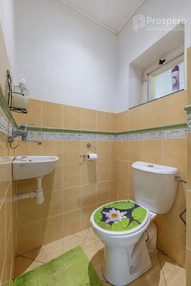 📍 Rodinný dom s veľkou dielňou, ČEČEJOVCE - SELEŠKA