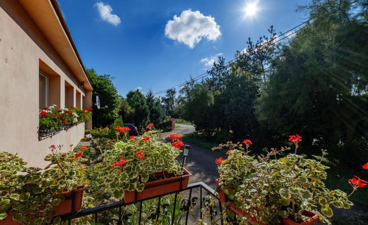 REZERVOVANÉ📍 Rodinný dom s veľkou dielňou, ČEČEJOVCE - SELEŠKA - fotografia 3